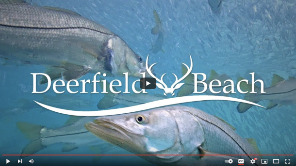 Deerfield Beach Underwater Video Streaming on YouTube
