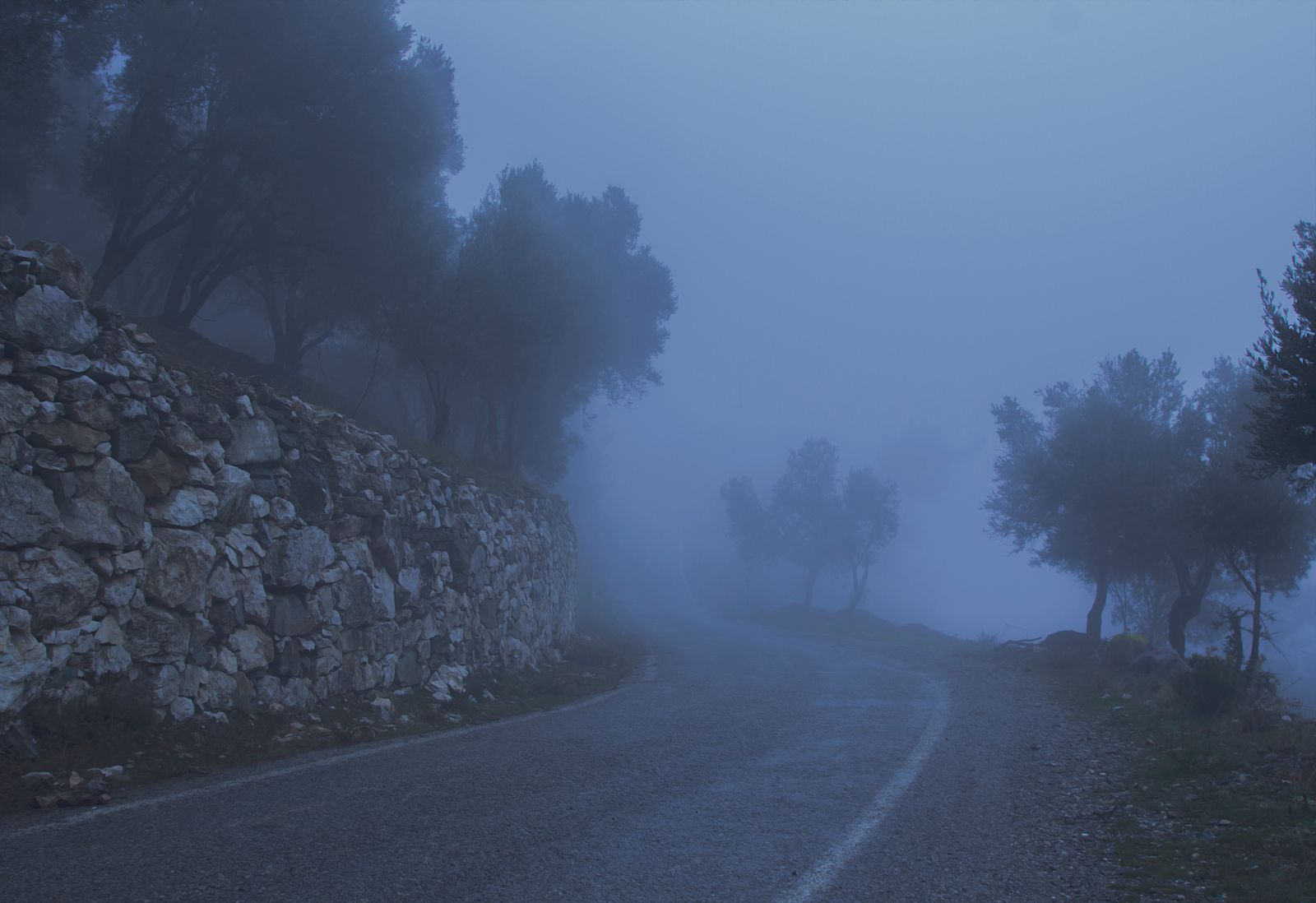 A road disappearing into fog between trees and a cliff edge